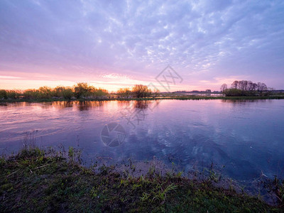 日出前的沼泽全景图片