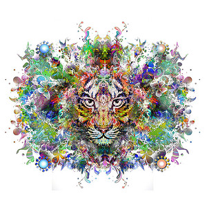 五颜六色的抽象老虎与白色背景上的花朵图片