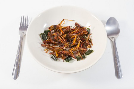 炒昆虫富含蛋白质的食物图片