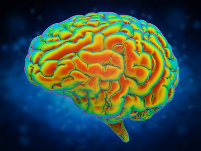 脑力概念与3D渲染闪亮的人脑图片