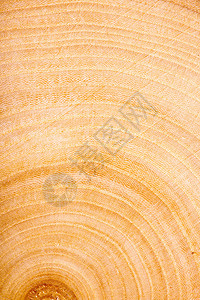 木质纹理木质背景图片