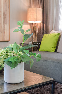 家里客厅里的白色陶瓷花瓶里的植物图片