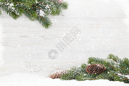 圣诞fir树枝和圆锥图片