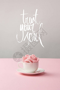 白杯中的粉红康乃馨花在灰色背景的茶碟上信任图片