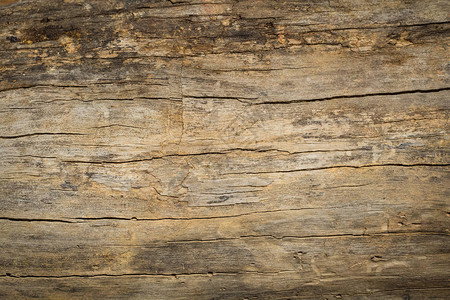 抽象表面木桌纹理背景关闭由旧木桌板纹理制成的深色乡村墙质朴的棕色木桌纹理背景空模背景图片
