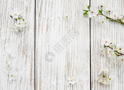 白色旧木桌上零散的樱花图片