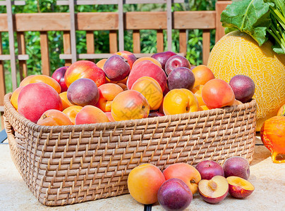 堆五颜六色的夏天果子杏子油桃子李子和红图片