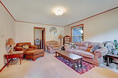 室内客厅有舒适棕色装饰沙发的家居图片