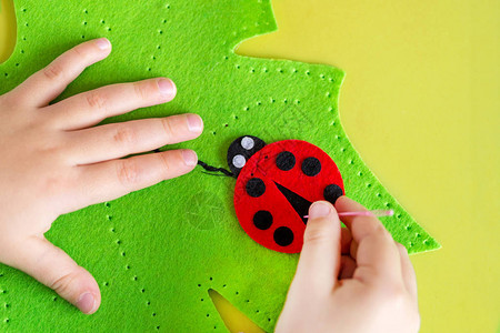 孩子制作绿叶和红色瓢虫的毛毡绒玩具儿童DIY活动特写儿图片