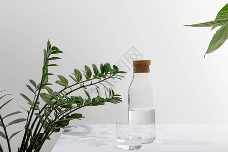 白色表面绿色植物附近的玻璃瓶淡水和玻璃瓶背景图片