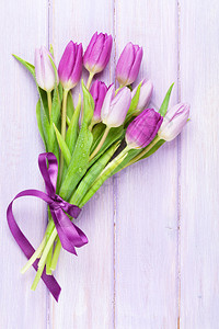 紫色的郁金香图片