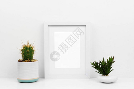在架子或桌子上用仙人掌和多肉植物模拟白色框架背景图片
