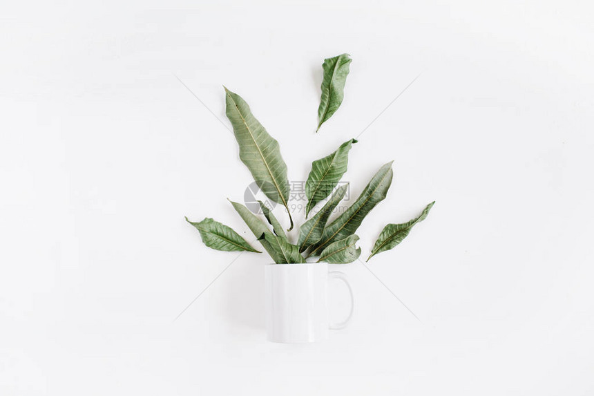 白色杯子和绿叶花束的空白模板图片