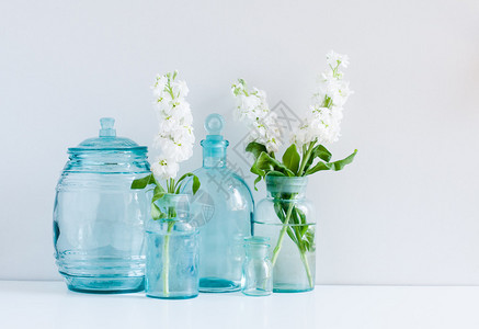 复古家居装饰背景不同蓝色玻璃瓶花中的白色马蒂奥拉花和墙边架图片
