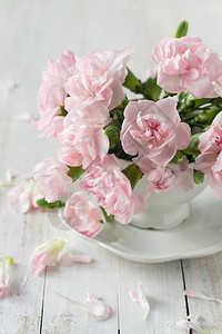 花瓶里的玫瑰和康乃馨图片