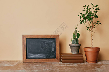 花盆植物照片框和蜜图片