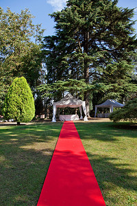 户外婚礼的红地毯图片