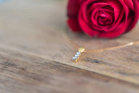 红玫瑰花自然美丽的花朵来自花园和钻石项链戒指图片