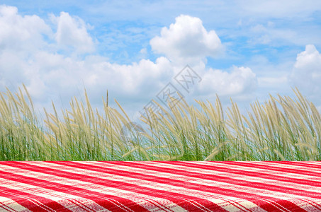 户外野餐背景与野餐桌图片