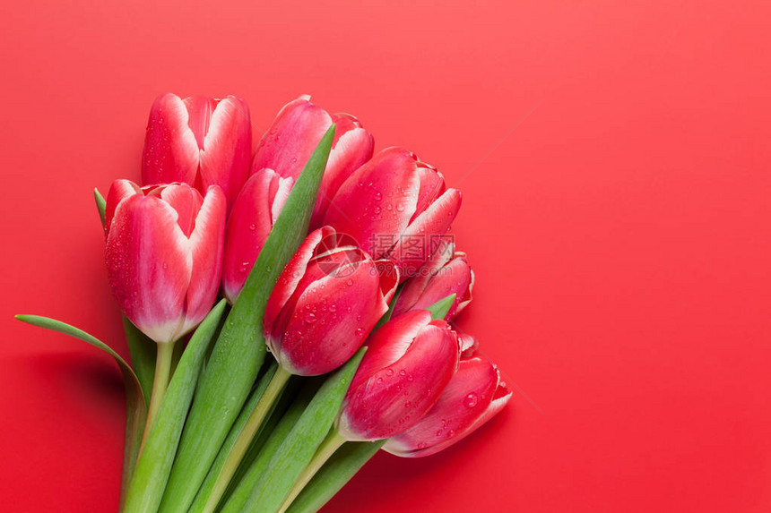 红色郁金香花束图片