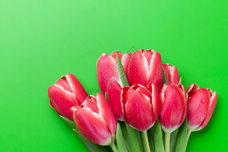 红色郁金香花束覆盖绿色背景greetingcard带有问候空图片