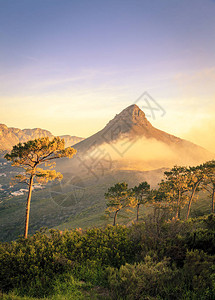 南非开普敦狮头山背景图片