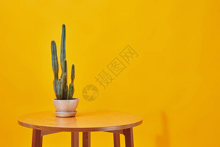 黄色背景的小木桌的花图片