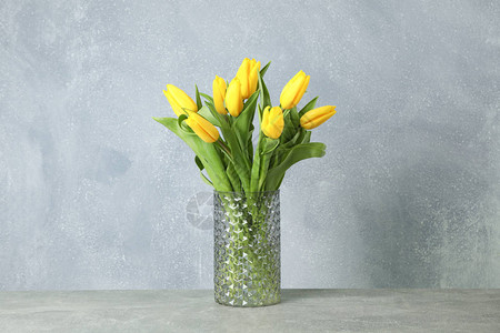 美丽的黄色郁金香在灰色背景的玻璃花瓶图片