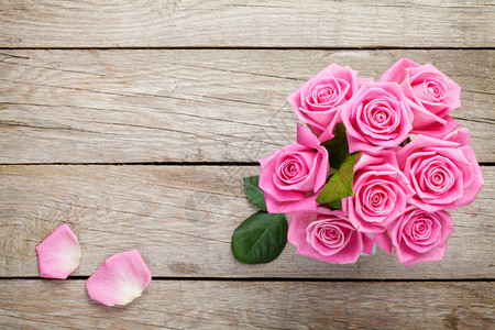 鲜春花园粉红玫瑰花图片