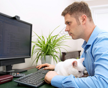 男程序员与猫一起在P图片