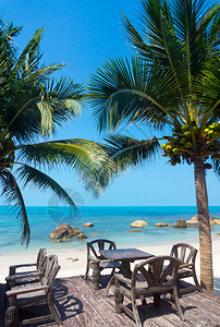 热带度假胜地海滩餐厅的餐桌图片