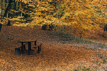 秋季公园的长木凳和桌子图片