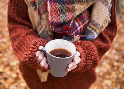 秋季喝茶秋天来喝茶温柔的图片
