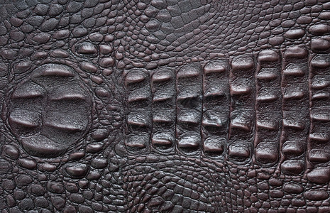 鳄鱼纹理皮革深棕色背景图片