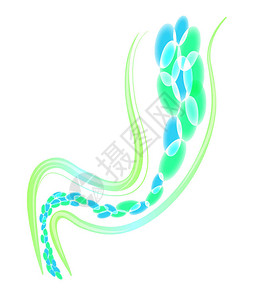 实验细菌微生物组织细菌肠道防图片