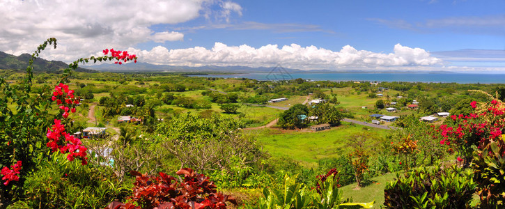 斐济西海岸全景在前景芙蓉斐济象征花背景是南图片