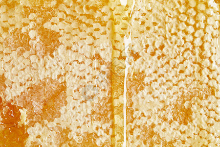 以蜂蜜为背景的有机蜂蜡全图片