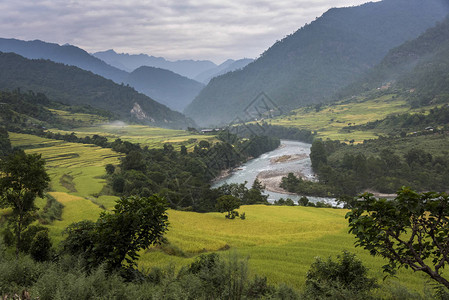 不丹Punakha河谷带图片