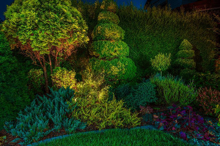 后院花园LED照明由小聚光灯Led反射器照图片