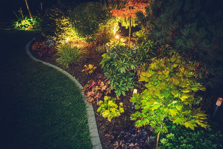 深色后院花园夜间照片图片