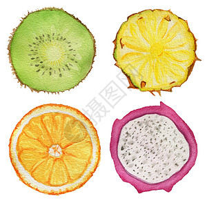 切半火龙果热带水果切片水彩插图设计图片