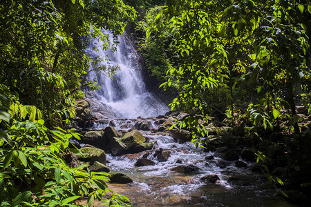 森林热带瀑布图片