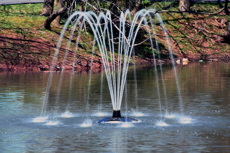 池塘上的喷泉形象图片