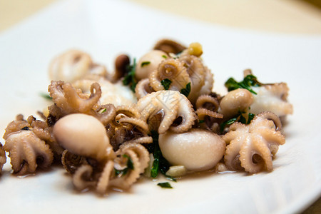 小型章鱼是用盐水煮的图片
