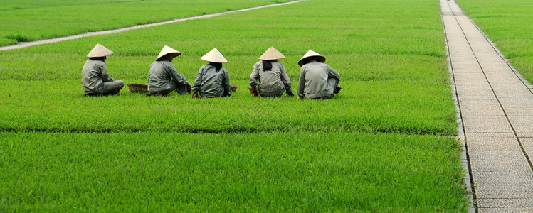 越南工人在河内图片
