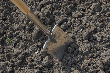 挖土的过程中的铁锹背景图片
