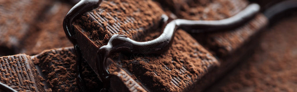 带液体巧克力的暗巧克力棒片图片