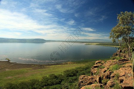 肯尼亚努库鲁湖国图片