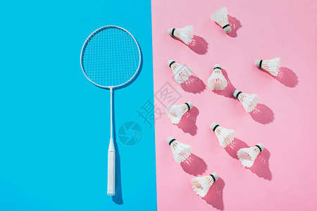 蓝色羽毛球拍和粉色羽毛球的俯视图图片