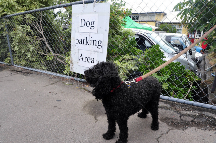 新西兰基督城利特尔顿农贸市场的狗停车场图片